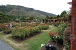 weltreise_2006-02_neuseeland_wellington_botanischer_garten_46.jpg