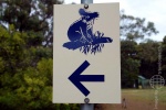 weltreise_2006-08_australien_kangaroo_island_flinders_chase_national_park_koala_walk_01.jpg