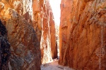 weltreise_2006-08_australien_outback_standley_chasm_03.JPG