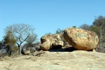 weltreise_2006-09_südafrika_kruger_national_park_23.JPG