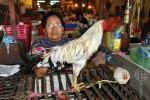 bali_2009_denpasar_pasar_badung_markthalle_41.jpg