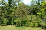 bali_2009_tempel_18.jpg